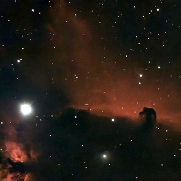 The Horsehead and Flame Nebulae among a dense field of stars