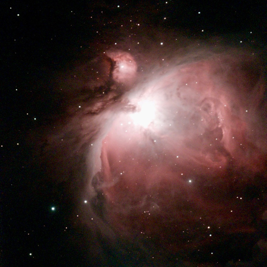 The pink and white clouds of the Orion Nebula surrounded by stars