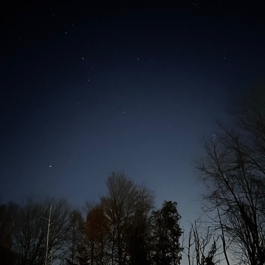 Star-filled New Jersey night sky above bare trees
