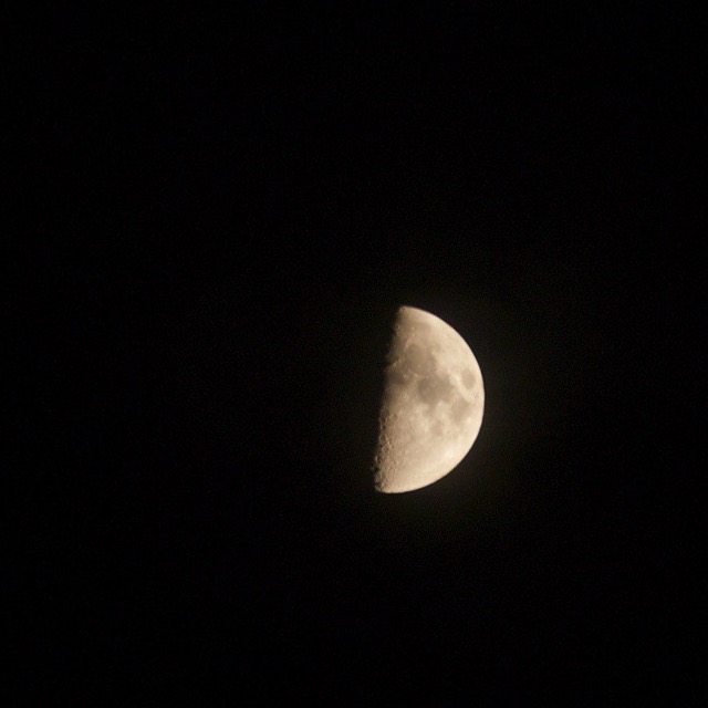 Half-lit Moon against a black sky, photographed from Queens